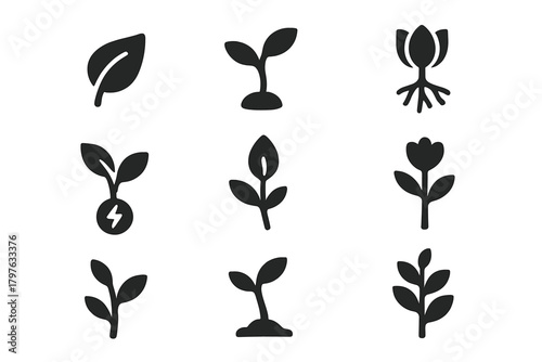 Plant Growth Icons. Solid style icons of Potential and life cycle: growing leaf, sprouting stem, root network, seedling energy,