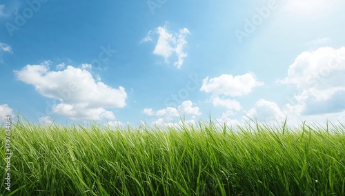 Natural green background wi...