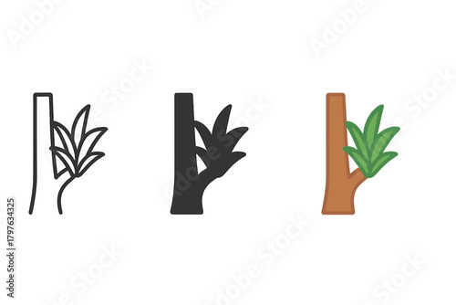 Three different stages of a tree's growth. The first stage is a small, thin tree with no leaves, while the second stage is a larger tree with a few leaves