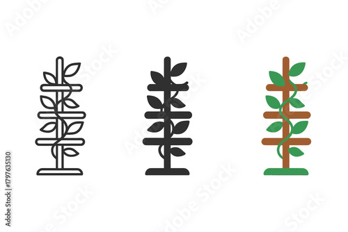 Three different types of trees are shown in black and white. The first tree is a tall, thin tree with a lot of leaves. The second tree is a shorter, bushier tree with more leaves