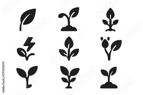Plant Growth Icons. Solid style icons of Potential and life cycle: growing leaf, sprouting stem, root network, seedling energy,