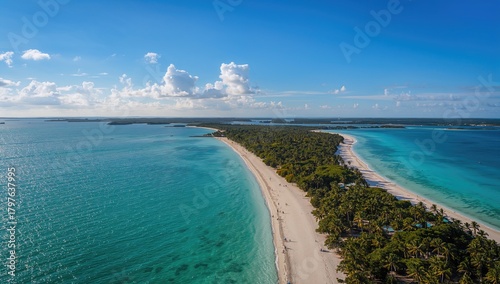 Fototapeta Naklejka Na Ścianę i Meble -  Aerial perspective of a beach with cabbage-like shoreline, showcasing the serene landscape, seasonal change