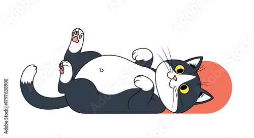A playful black and white tuxedo cat lies on its back with its paws up, showing its belly and a happy expression.