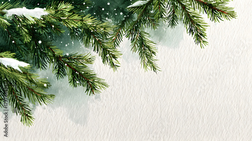 Green pine branches with fresh snow create a serene winter scene on a light white background