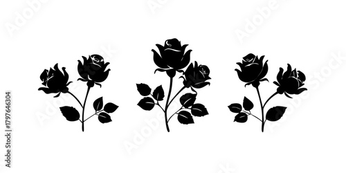 Rose Flowers black vector silhouette isolated on transparent background.