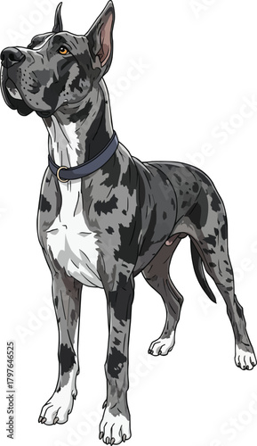 Great Dane dog looking up curious attentive vector illustration