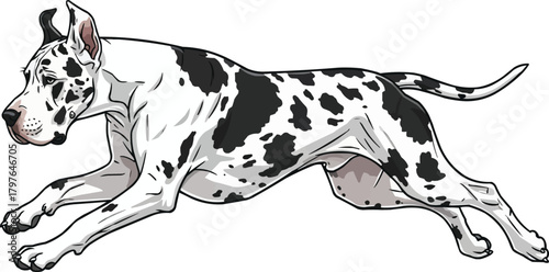 Great Dane dog running energetic vector illustration