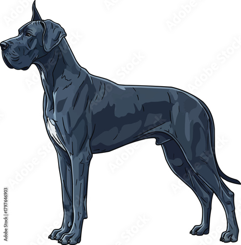 Great Dane dog standing side profile vector illustration