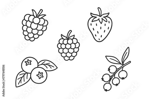 Outline symbols of summer berries: strawberries, raspberries, and blueberries