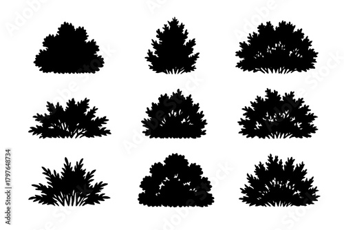 Nine black silhouettes of various garden shrubs and bushes isolated on white