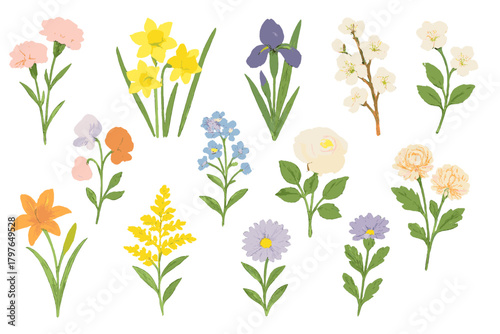 Colorful collection of spring and summer garden flowers and wild blooms