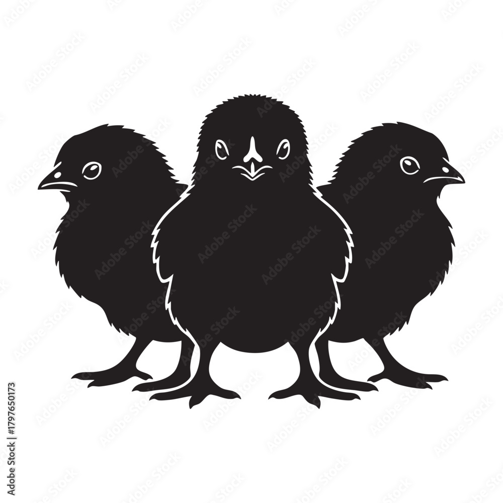 Fototapeta premium Group of Three Chicks Silhouette Vector Icon