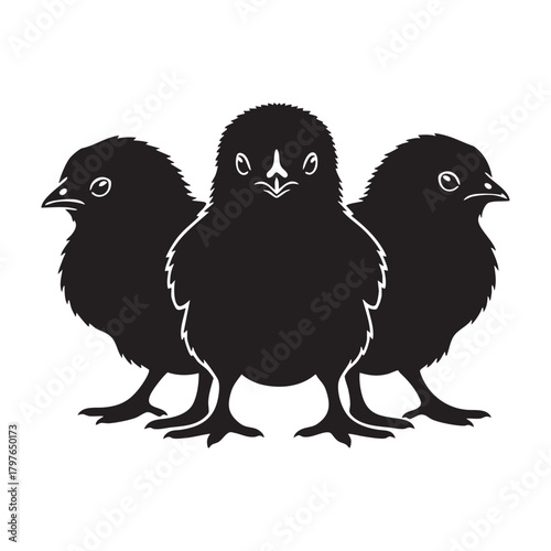 Group of Three Chicks Silhouette Vector Icon