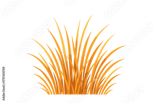 Dense clump of dry golden ornamental grass isolated on a clean white background