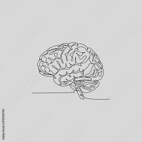 A clean, single continuous line drawing of the human brain (cerebrum and brainstem). This minimalist anatomical illustration is perfect for medical, psychological, or educational projects.