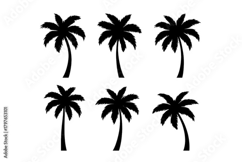 Various black palm tree silhouettes used as tropical vacation icons and symbols