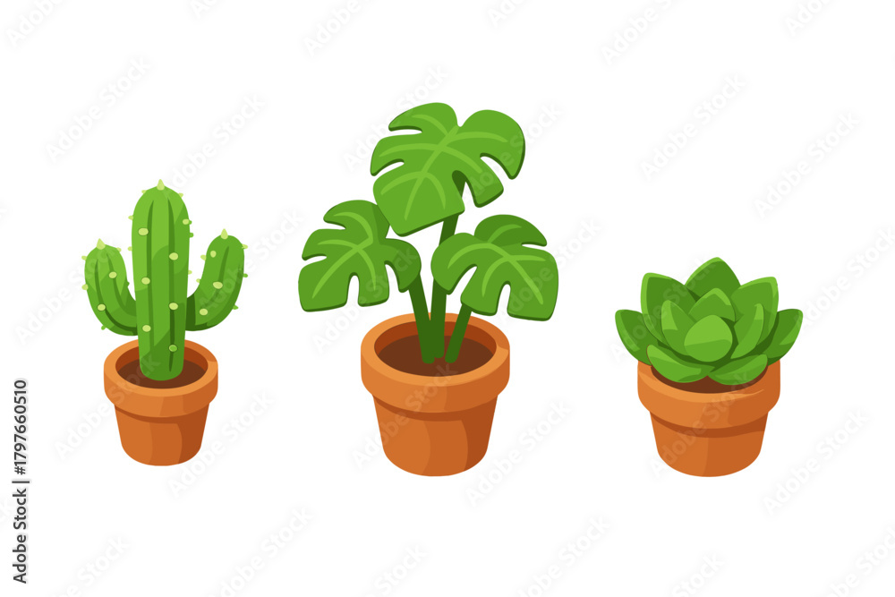 Obraz premium Collection of three popular potted houseplants including cactus, monstera, and succulent