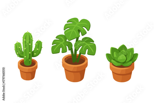 Collection of three popular potted houseplants including cactus, monstera, and succulent