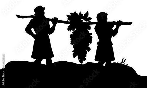 Vector drawing. Two men bear a grape.