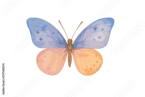 Delicate watercolor butterfly with pastel blue and soft orange wings