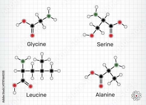 Amino acids glycine (Gly), alanine (Ala), serine (Ser) and leucine (Leu) molecular structures. Vector illustration