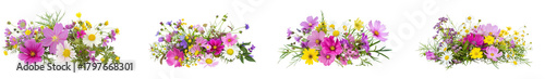 Bouquet of colorful wildflowers, isolated on transparent background