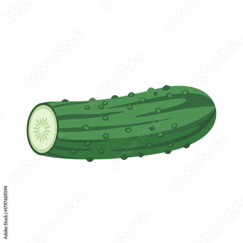 A single green cucumber with a cut end showing seeds and flesh.