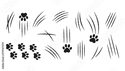 Illustration of black claw marks and paw prints on a white background