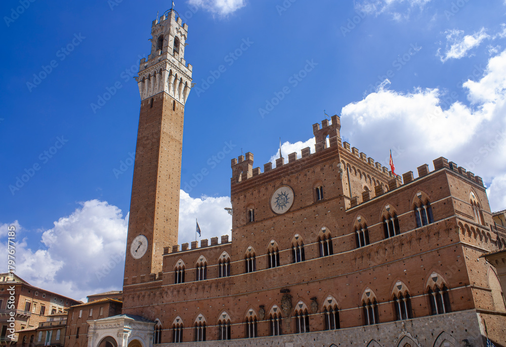 Obraz premium The city hall of Siena