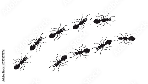 Black ants marching illustration insect colony pest control