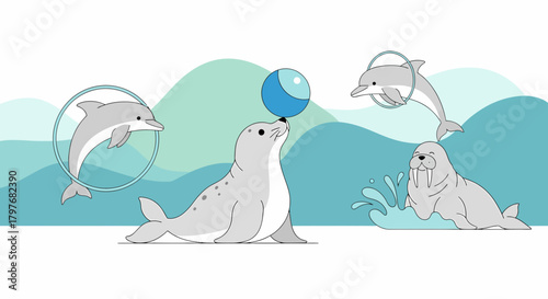Marine Animal Show Featuring A Seal Dolphins And Walrus Performance