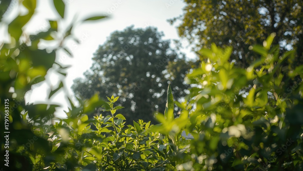 Obraz premium Green vegetables on a plate, fiber-dense choice