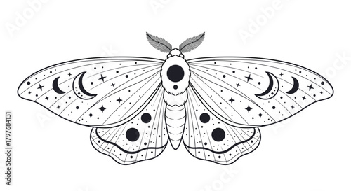 Mystical black and white moth illustration with celestial crescent moons and stars on its wings, symbolizing magic and spirituality.