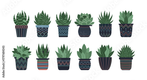 A vibrant collection of various succulents displayed in decorative, patterned pots, perfect for modern home or office decor.