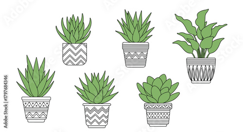 Collection of various green potted houseplants and succulents with decorative patterned pots, in a minimalist vector style.