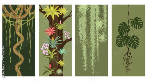 Set of four vertical banners showing various tropical climbing plants like lianas, bromeliads and orchids on a tree, and monstera.