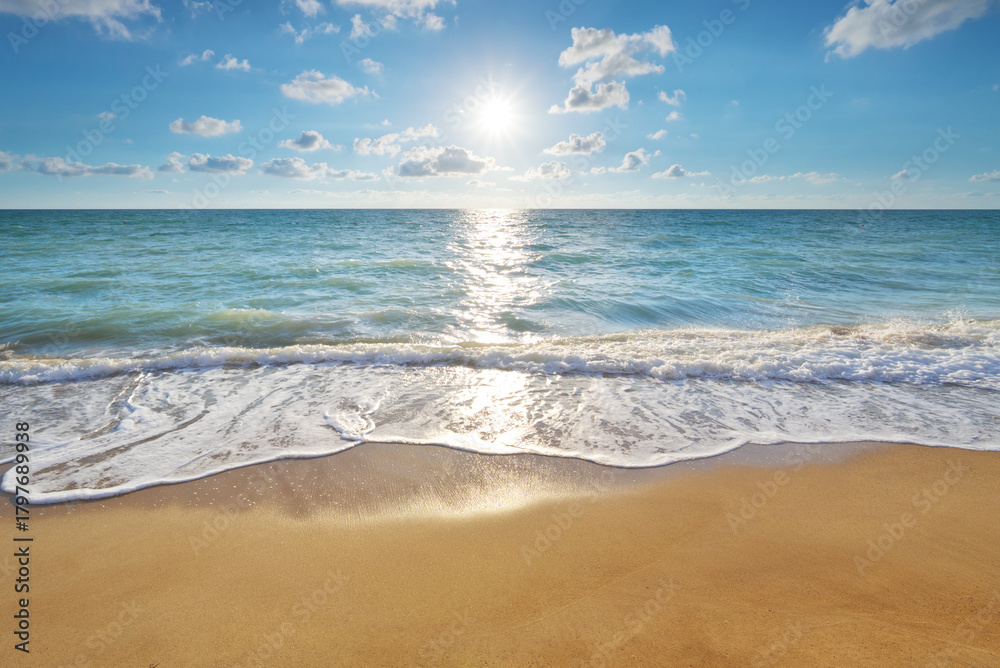 Fototapeta premium Beautiful coast of beach at day. Sandy sea shore nature composition.