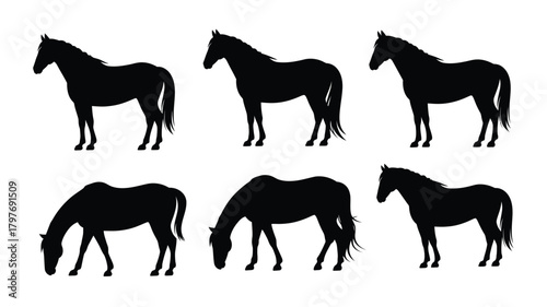 Graceful horse silhouettes showcasing equine beauty in various poses, ideal for equestrian themes, brands, or designs needing a touch of wild freedom and strength