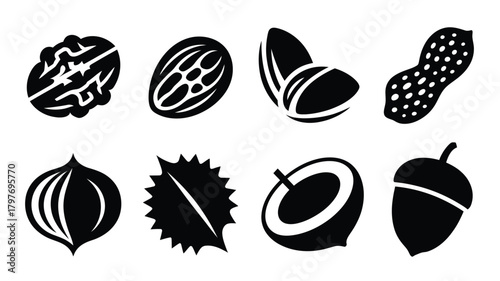 Delicious nuts collection for healthy snack designs, featuring walnut, coconut, peanut, hazelnut, acorn, chestnut, almond, and more for nutrition concepts