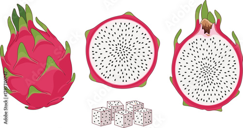 Dragon Fruit Vector Set, Pitaya, Exotic Tropical Fruit Illustration.