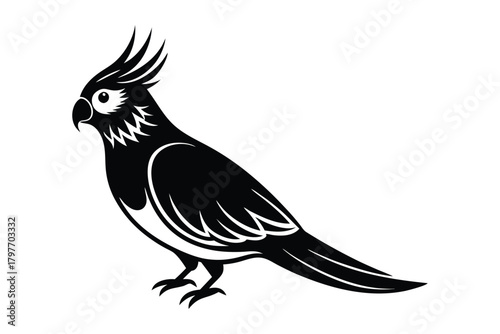 Black Silhouette of a Cockatoo Parrot with Crest on a White Background bird avian