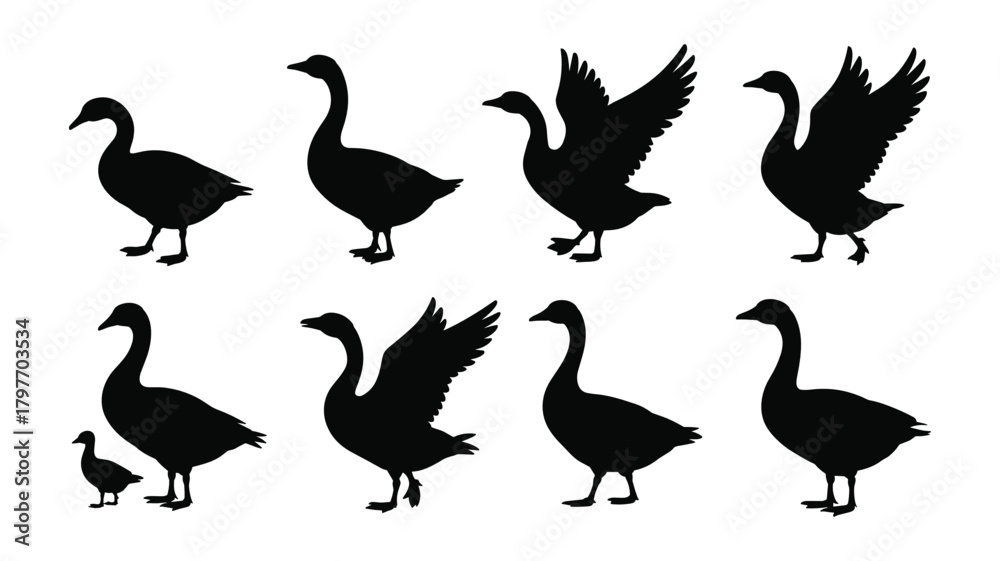 Fototapeta premium Collection of Black Silhouette Goose and Gosling Icons on White Background bird animal