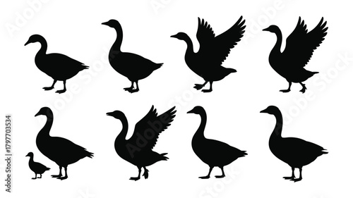 Collection of Black Silhouette Goose and Gosling Icons on White Background bird animal