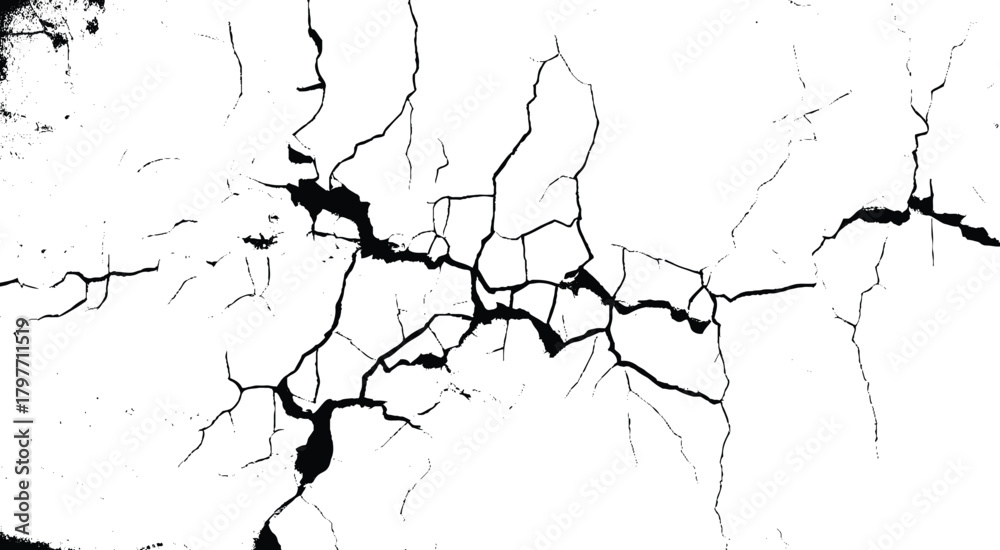 Obraz premium black cracks isolated on a white background. High quality photo