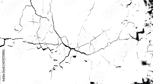 Background with cracks on the wall. White cracked texture background, featuring a white background with a dry, cracked pattern. The white background adds a rustic feel.