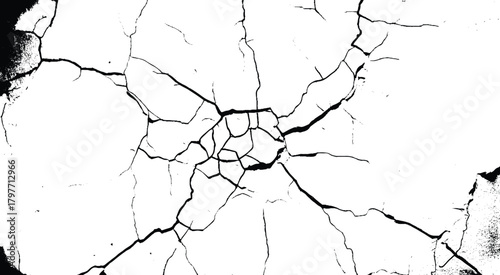 Cracked earth background. Vector group of black branch grunge cracks isolated on white background. 