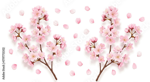 Beautiful realistic cherry blossoms set, rendered in a detailed flat 2D style, featuring delicate pink flowers, blooming branches, and gently scattered petals isolated on a clean white background.