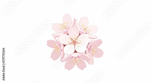 Cherry blossom cluster illustration featuring realistic flat 2D rendering and smooth, soft pastel tones of pink and green, isolated cleanly on a pure white background.