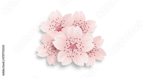 Realistic flat 2D cherry blossom illustration features delicate soft pastel pink flowers with gentle shading, beautifully isolated against a clean white background.