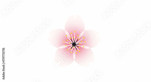 Realistic 2D flat illustration of a single delicate pink cherry blossom flower featuring soft gradients, isolated against a pristine white background representing the arrival of spring.